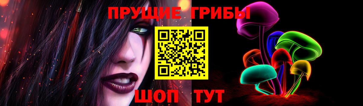 Псилоцибиновые грибы Cubensis  Вход с VPN  Ревда  Галлюциногенные грибы GOLDEN TEACHER 
